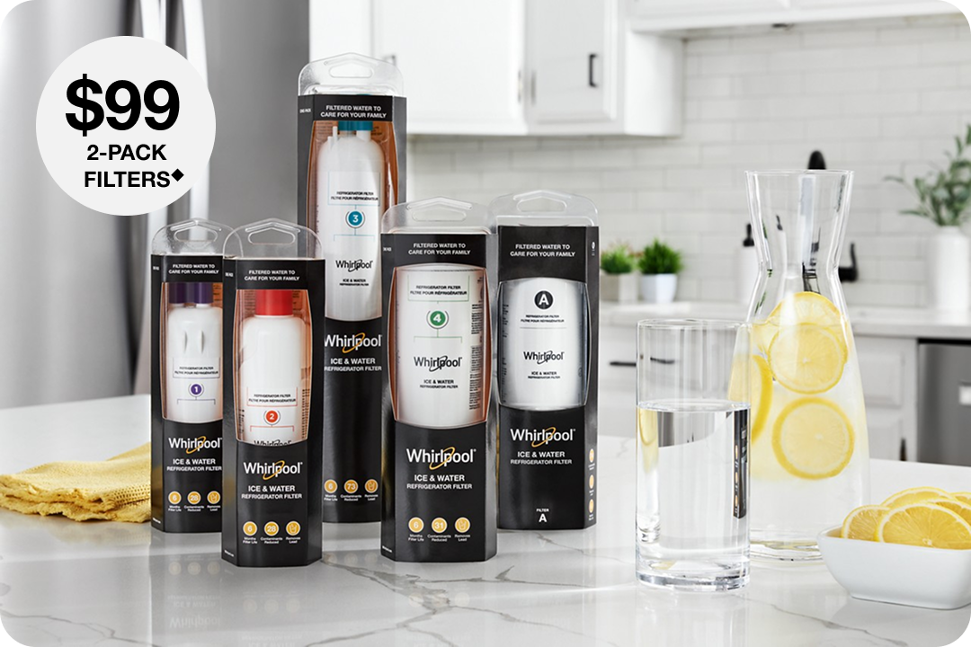 $99 2-PACK FILTERS◆