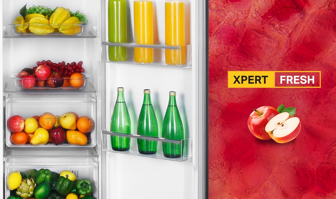 Xpert Fresh