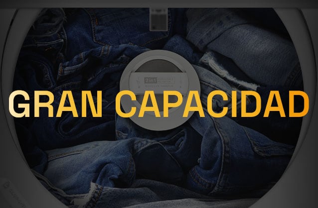 Gran Capacidad