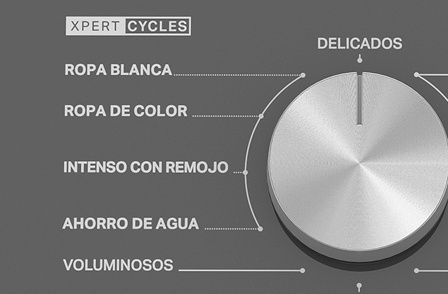 4 Ciclos Xpert