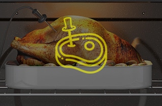 Termómetro de Carne