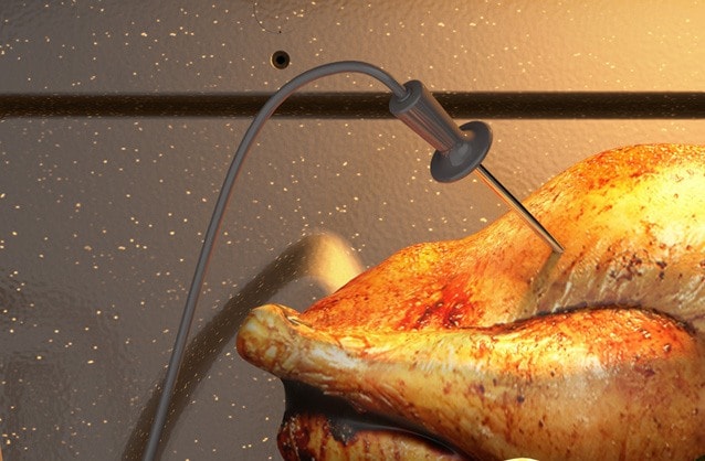 Termómetro de Carne