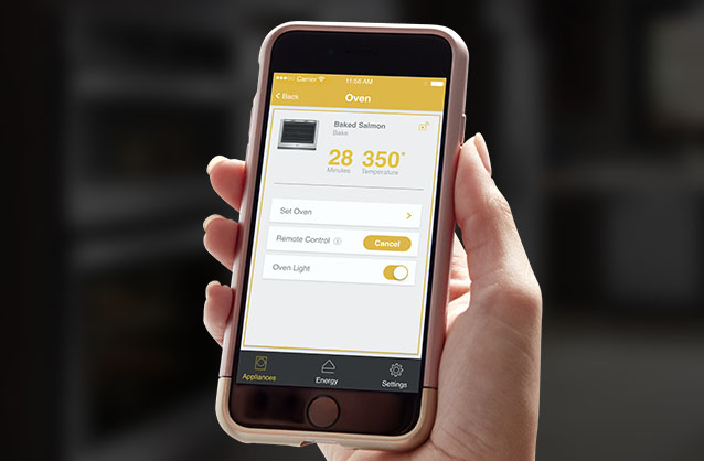 Conectividad Wi-Fi (Smart Appliance)