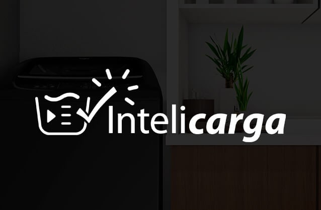 Intelicarga