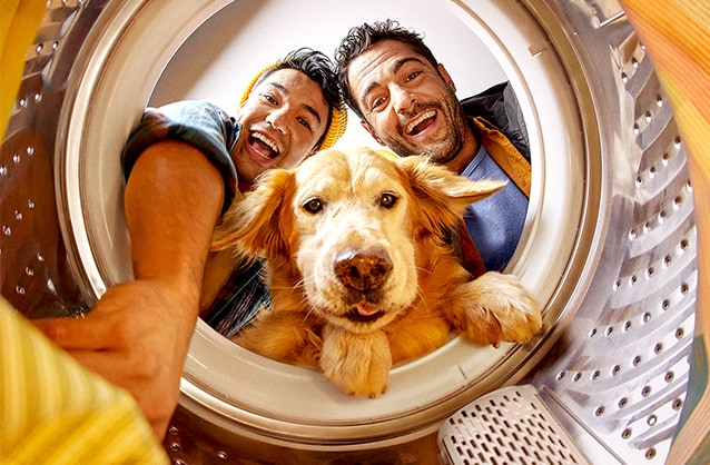 Ciclo ropa mascotas