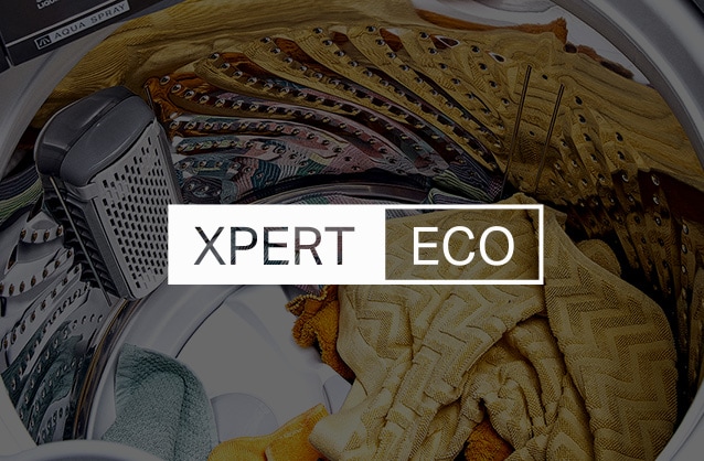 Experto Eco