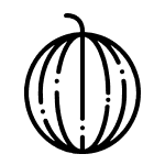 Melon icon
