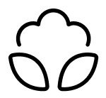 Cotton icon