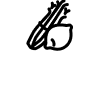 celery and onion icon