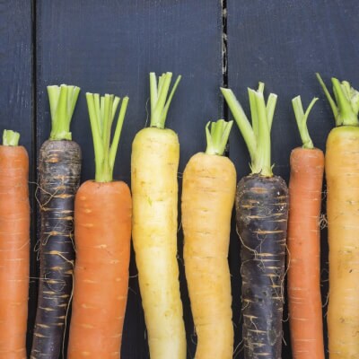 Carrots, in a row