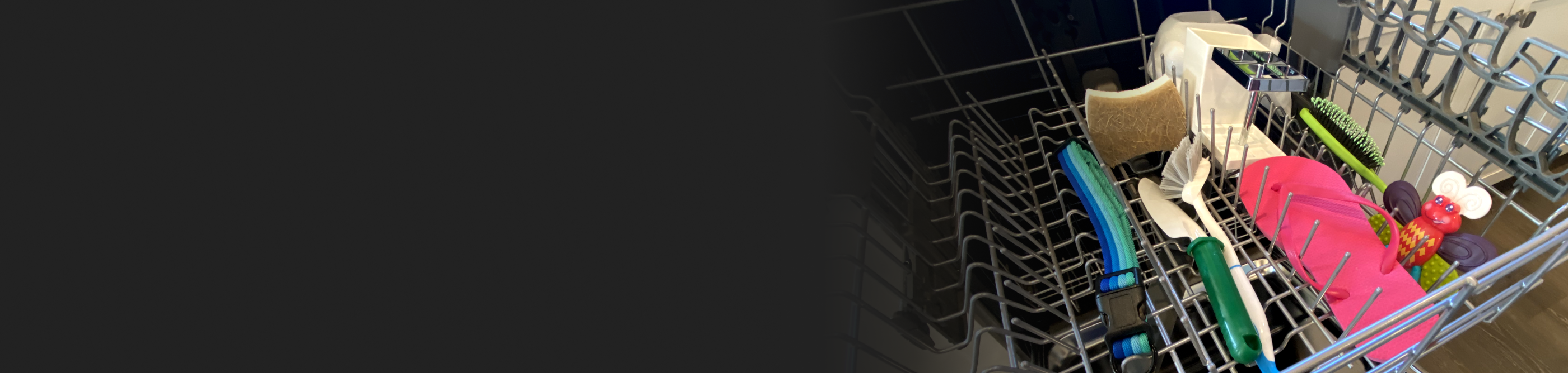 Dog collar, dish scrub brush and a sponge inside a dishwasher