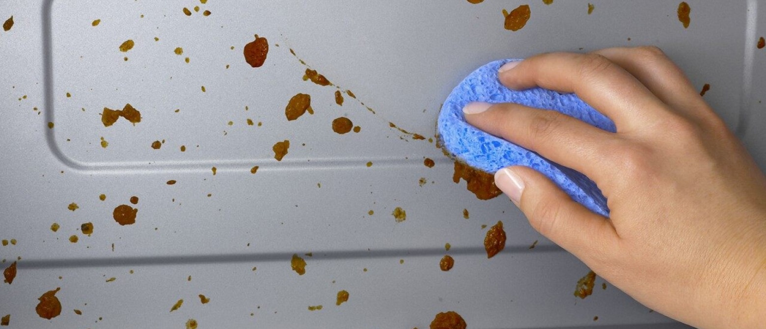 Hand wiping up a mess with a rag