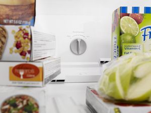 Freezer Temperature Control