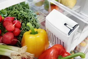 FreshFlow™ Produce Preserver