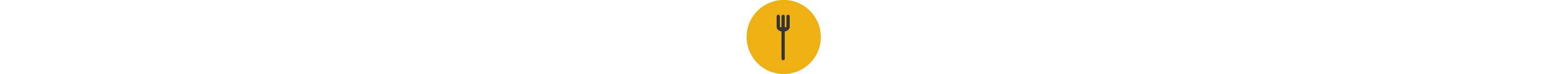 Fork icon
