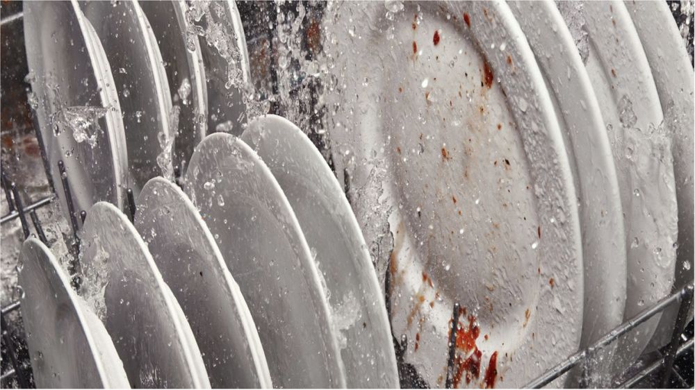 Dishwasher & Cleaning Whirlpool