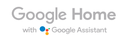 Google Home with Google Assistant