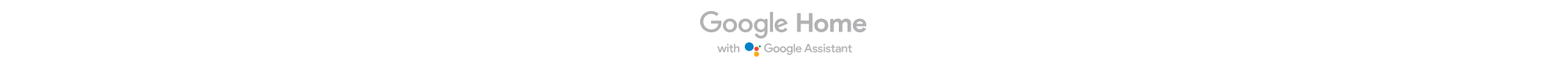 Google Home with Google Assistant