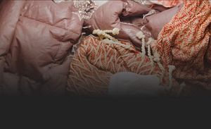 Receiving a smartphone notification from the Whirlpool® app