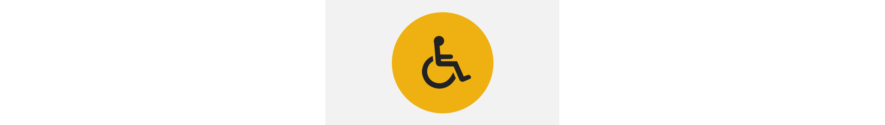 Icon of a person using a wheelchair