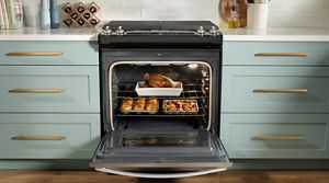 Buy store convection oven