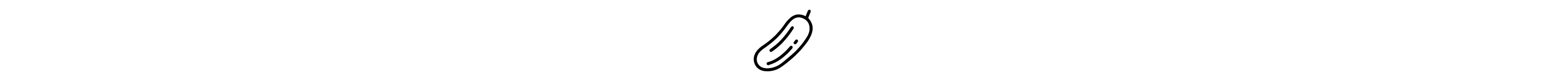 Pickle icon