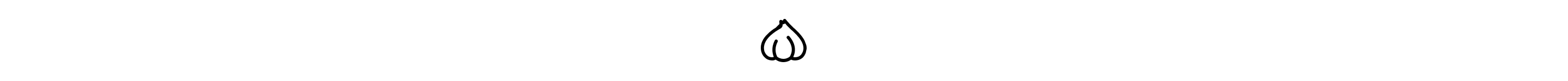 Garlic icon
