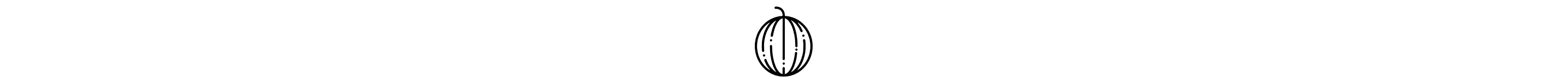 Melon icon