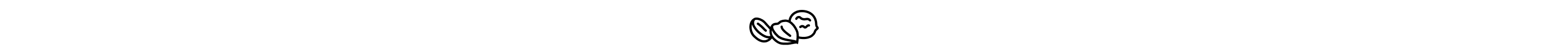 Nuts icon