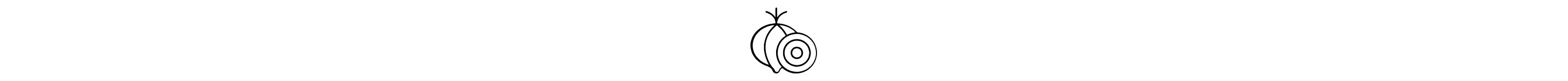 Onion icon
