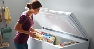 Buy a freezer shop online