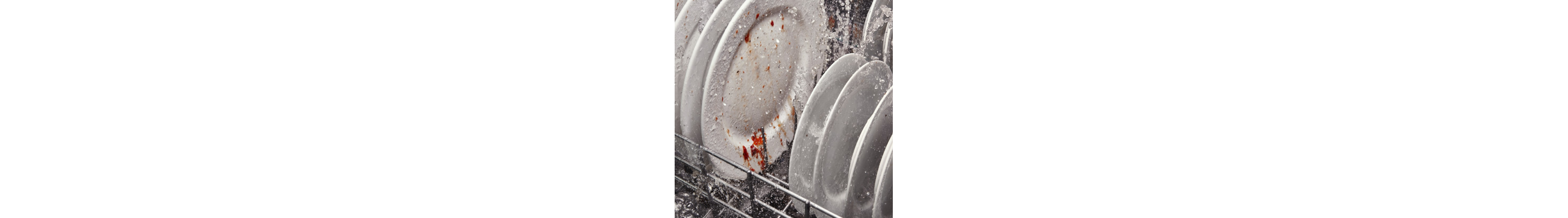 A closeup of the bottom rack of a Whirlpool® dishwasher washing plates during a wash cycle.