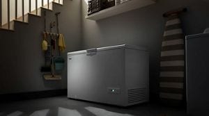 Deep on sale freezer long
