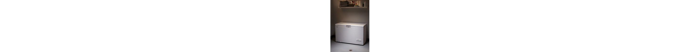 Chest freezer inside a garage