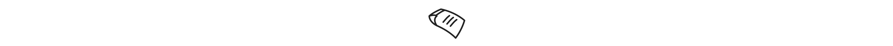 Care label icon