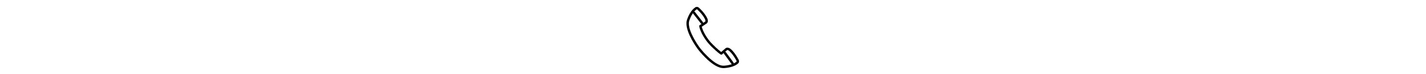 Phone icon