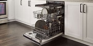 Bosch dishwasher sales odor inside