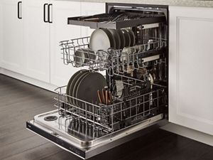 Bosch dishwasher smells shop musty
