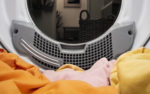 Dryer belt squeaking new arrivals
