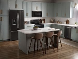 Refrigerator deodorizer 2025 home depot