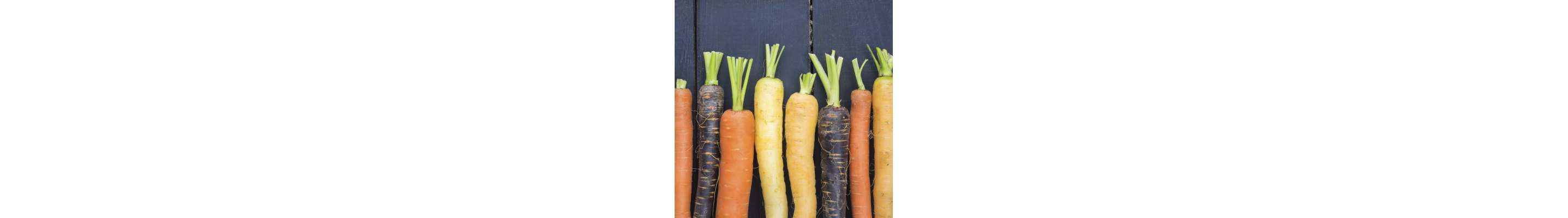 Carrots, in a row