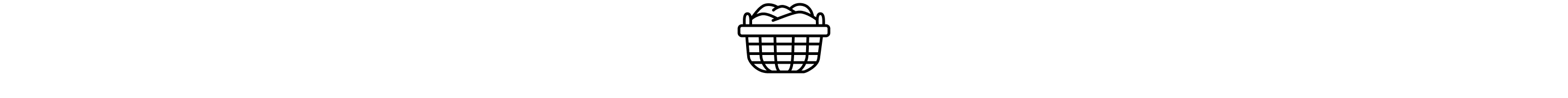 Laundry basket icon