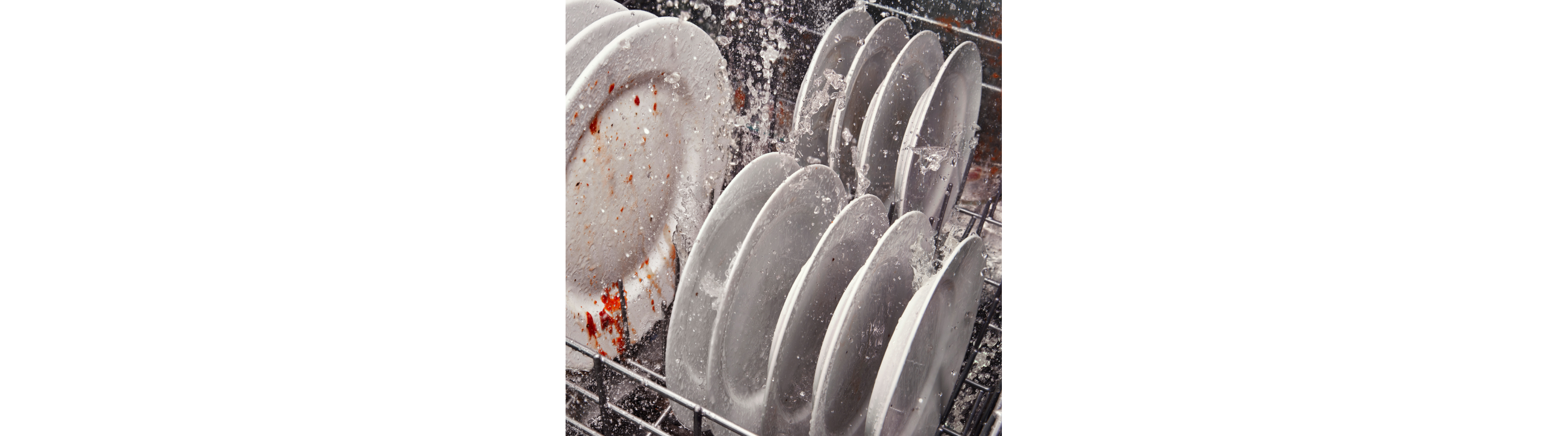 How to Unclog a Dishwasher Drain in 5 Steps!