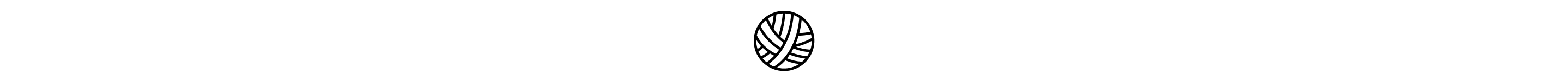 Dryer ball icon