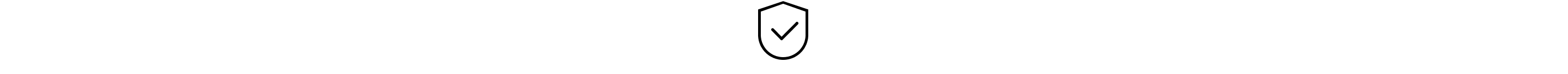 Shield icon