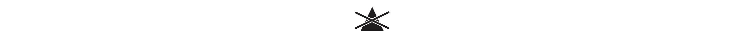 Do not bleach icon