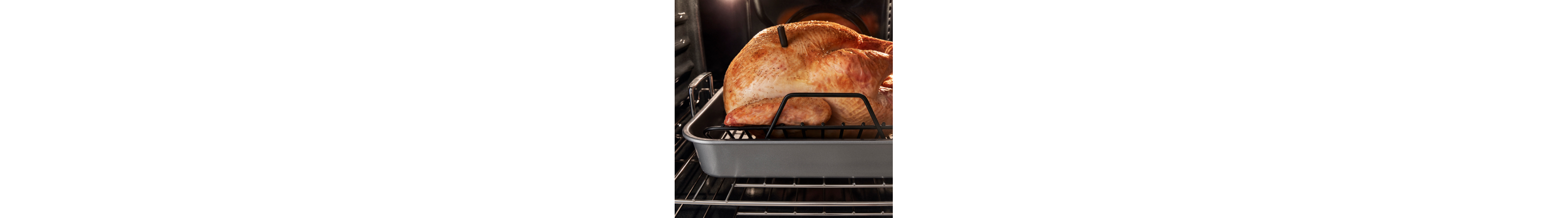 Turkey in a roasting pan inside an oven