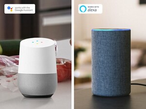 Voice-enabled assistants