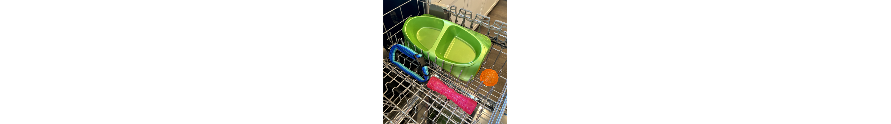 Pet accessories on the top rack of the dishwasher