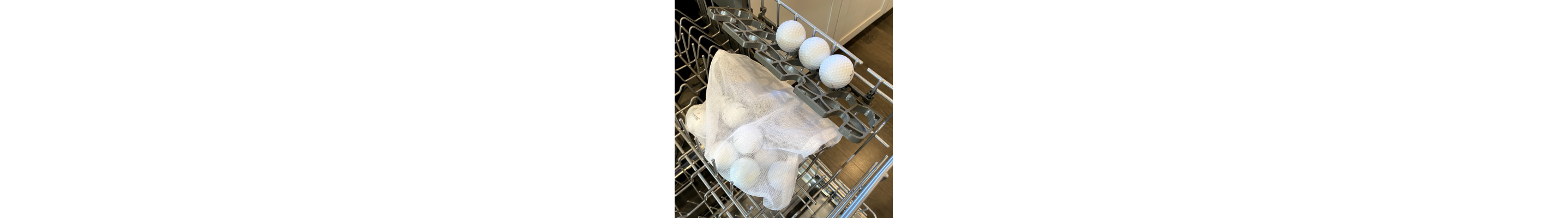 Sports equipment on the top rack of a dishwasher